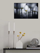 White in white Poster och Canvastavla