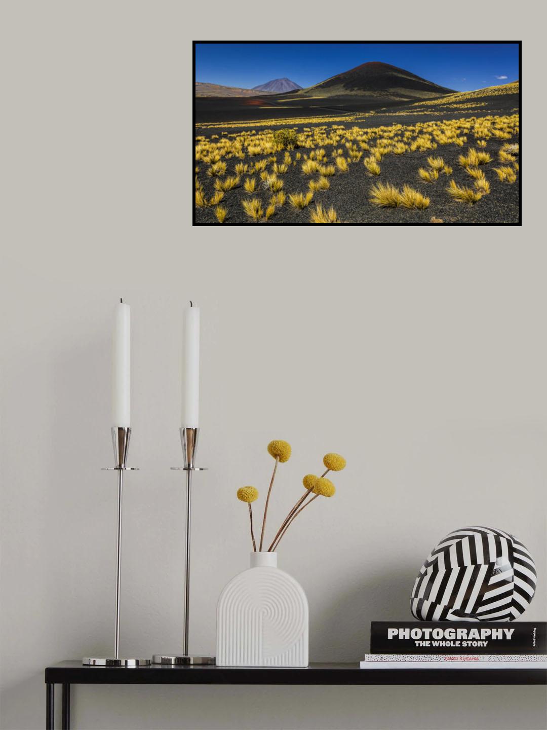 Payunia Poster och Canvastavla