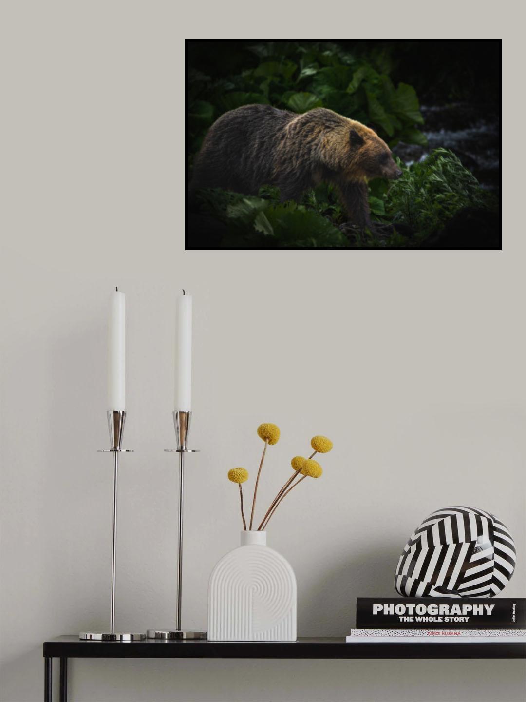 A bear down at the river Poster och Canvastavla