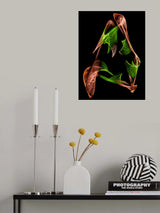 The Branch Poster och Canvastavla