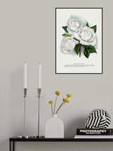 White Rose, Coquette Des Alps Lithograph Poster och Canvastavla
