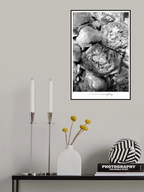 Life blooms everyday peonies bw Poster och Canvastavla