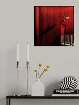 Light and shadow Poster och Canvastavla