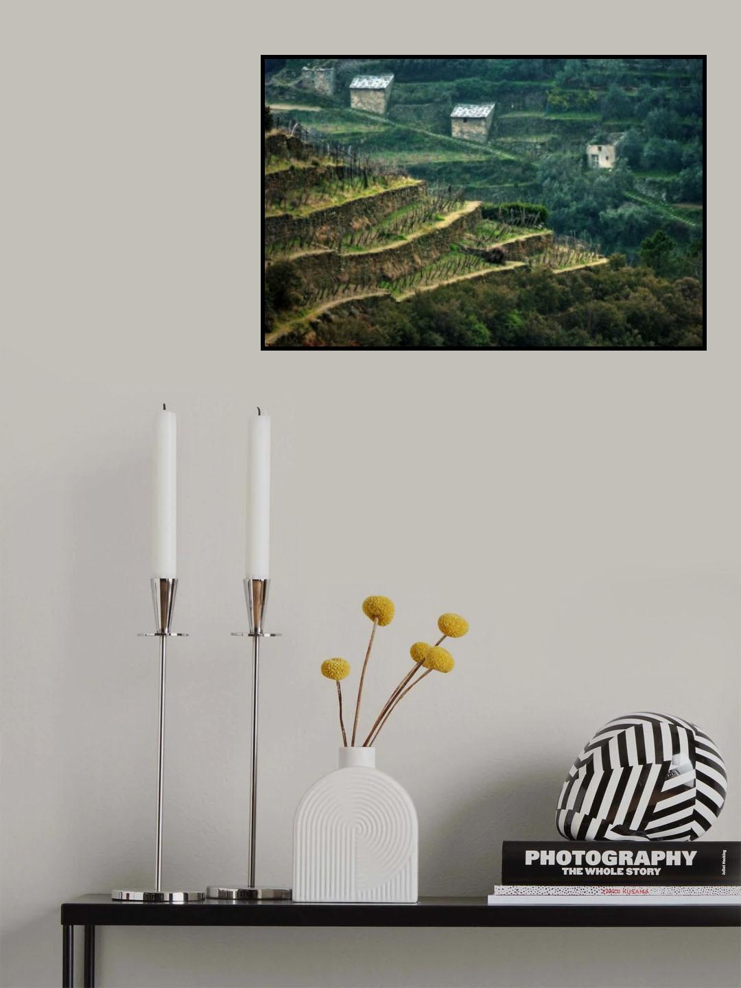 Melancholy in green Poster och Canvastavla