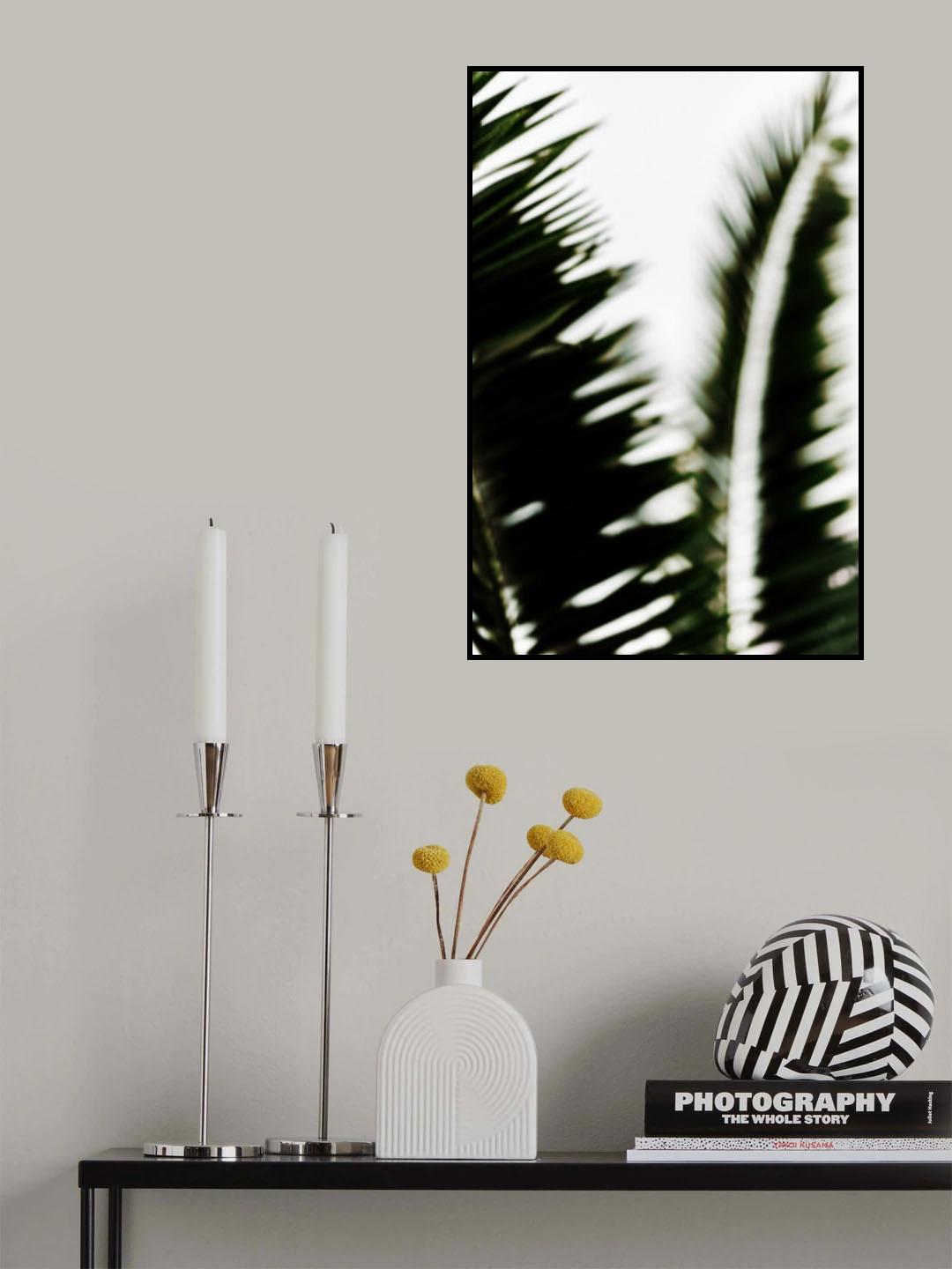 Palm Branches Poster och Canvastavla