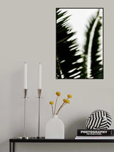 Palm Branches Poster och Canvastavla