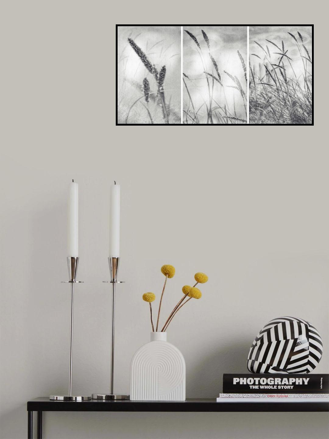 The Wilderness Poster och Canvastavla
