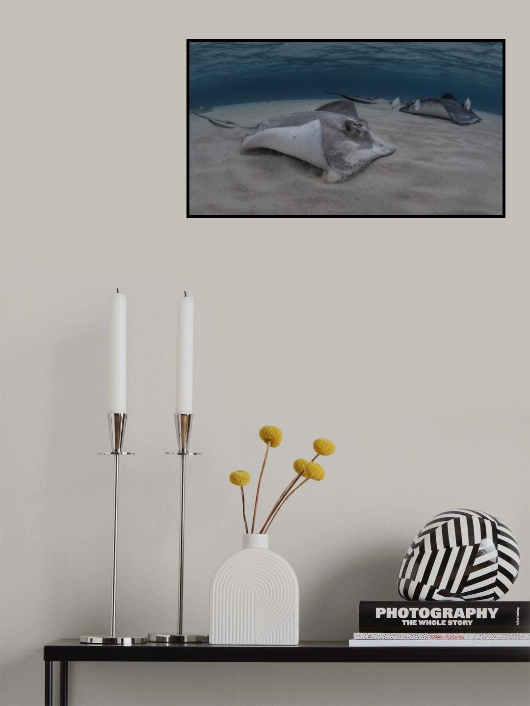 Go together Poster och Canvastavla