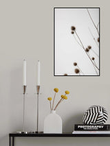 Thistle Grey 03 Poster och Canvastavla