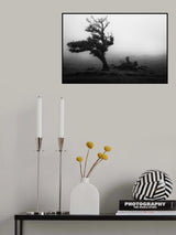 Fanal #2 Poster och Canvastavla