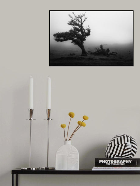 Fanal #2 Poster och Canvastavla