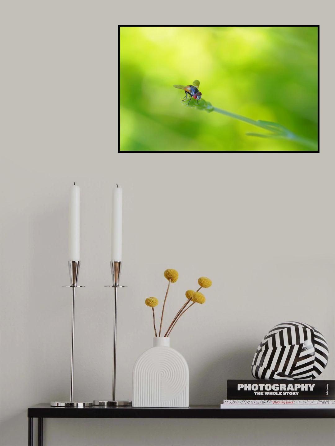 Green light... Poster och Canvastavla