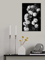 Rose Bush Poster och Canvastavla