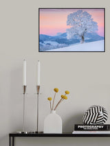 exposed Poster och Canvastavla