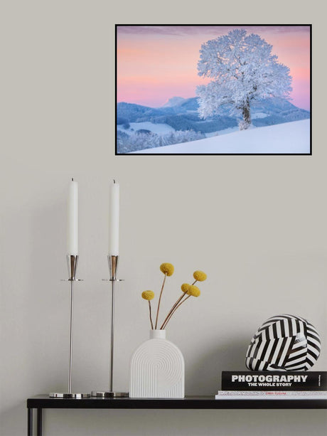 exposed Poster och Canvastavla