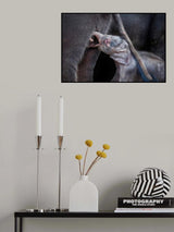 NEWBORN Poster och Canvastavla