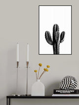 Cactus Black and White 03 Poster och Canvastavla