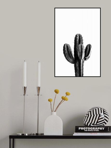 Cactus Black and White 03 Poster och Canvastavla