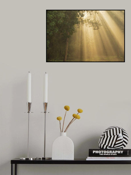 ray of light Poster och Canvastavla