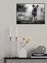 Monochrome Wild Dog Poster och Canvastavla