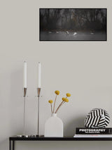 Flying low above the foggy lake Poster och Canvastavla