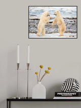 Fight ! Poster och Canvastavla