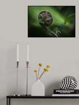 Genesis Poster och Canvastavla