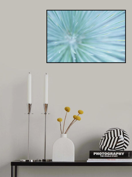 Soft Spikes Poster och Canvastavla