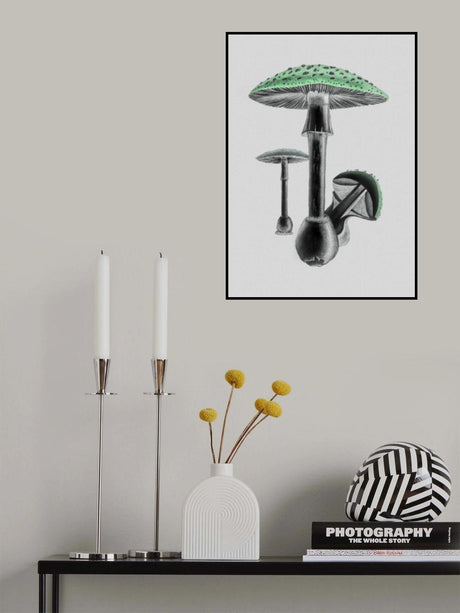 Amanita Muscaria White Background Green Poster och Canvastavla