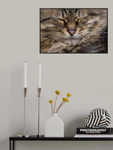 cute cat Poster och Canvastavla