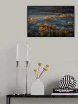 Prairie light Poster och Canvastavla