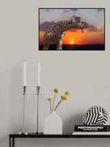 tenderness  ... Poster och Canvastavla