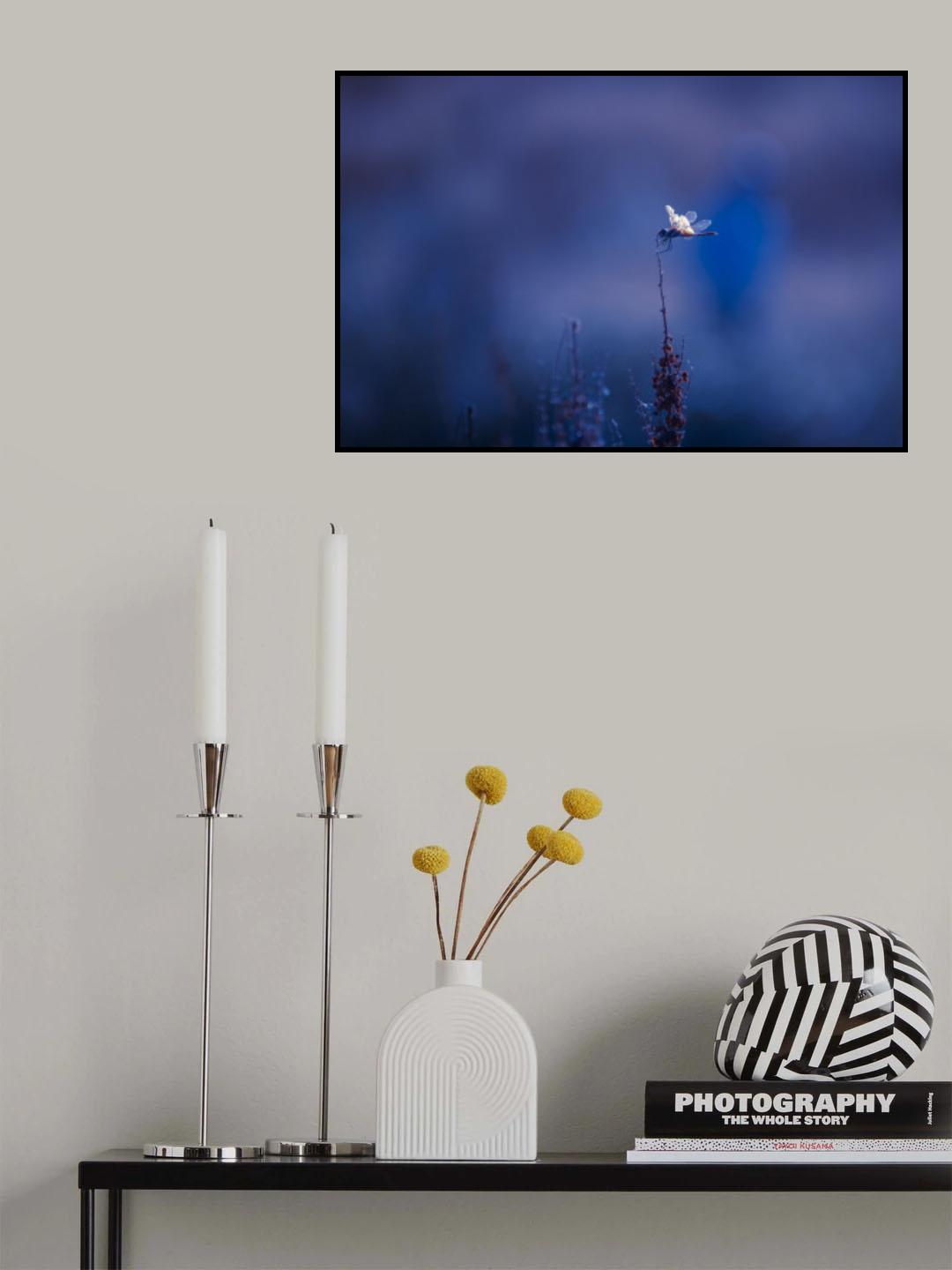 Böcük... Poster och Canvastavla
