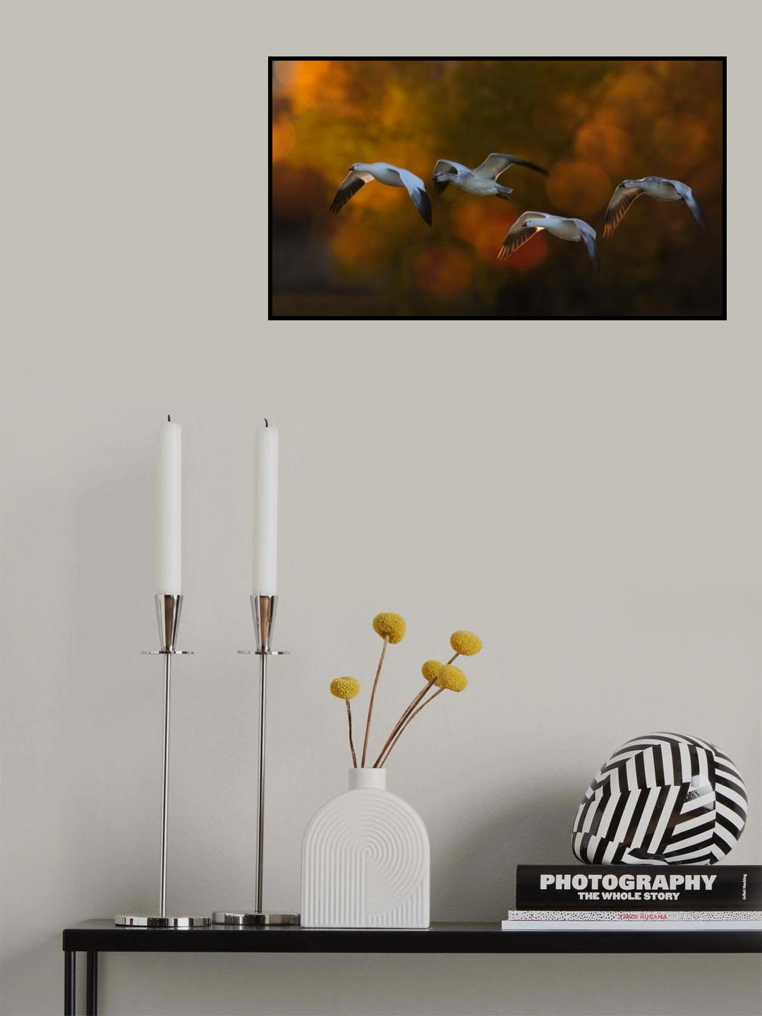 Team work Poster och Canvastavla