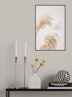 Reed Grass Grey 06 Poster och Canvastavla