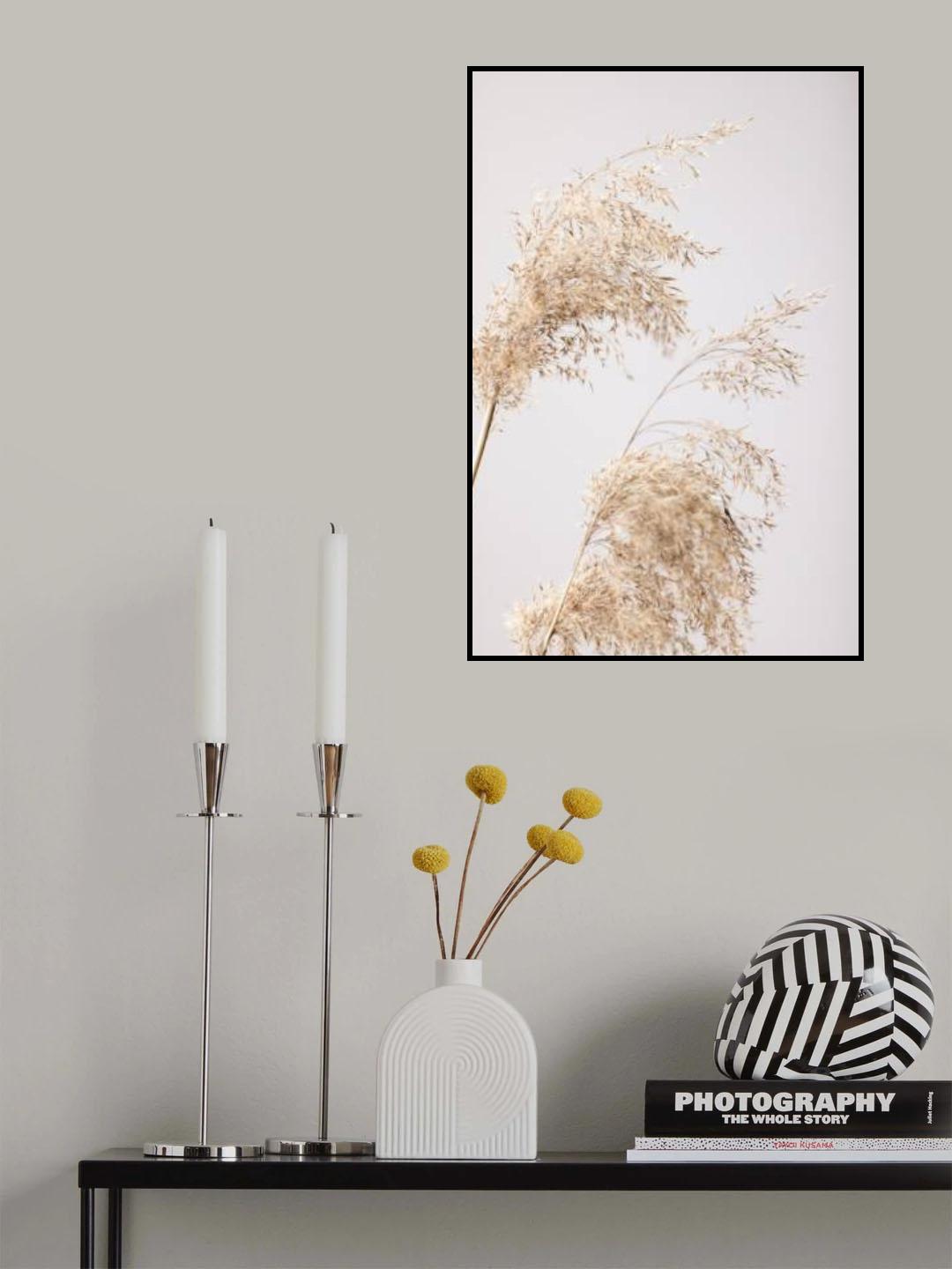 Reed Grass Grey 06 Poster och Canvastavla