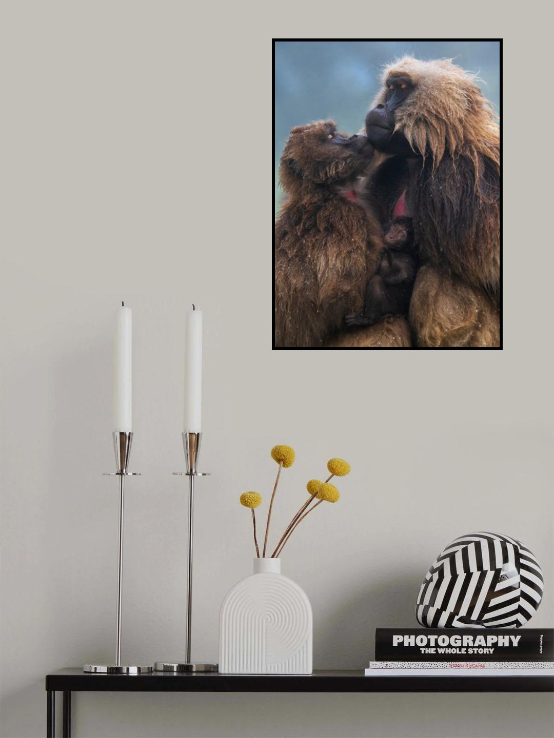 Family Poster och Canvastavla