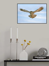 Landing Poster och Canvastavla