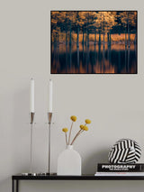 Trees in the Water Poster och Canvastavla