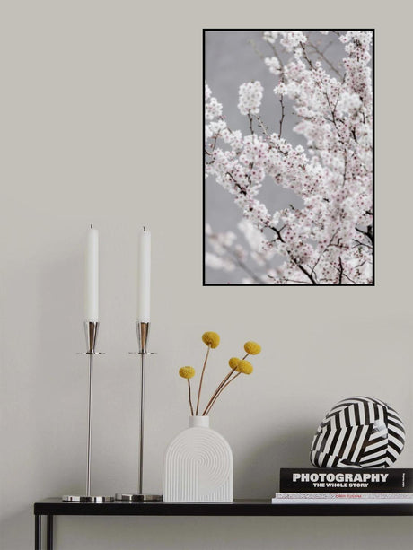 Colorful Spring 6 Poster och Canvastavla