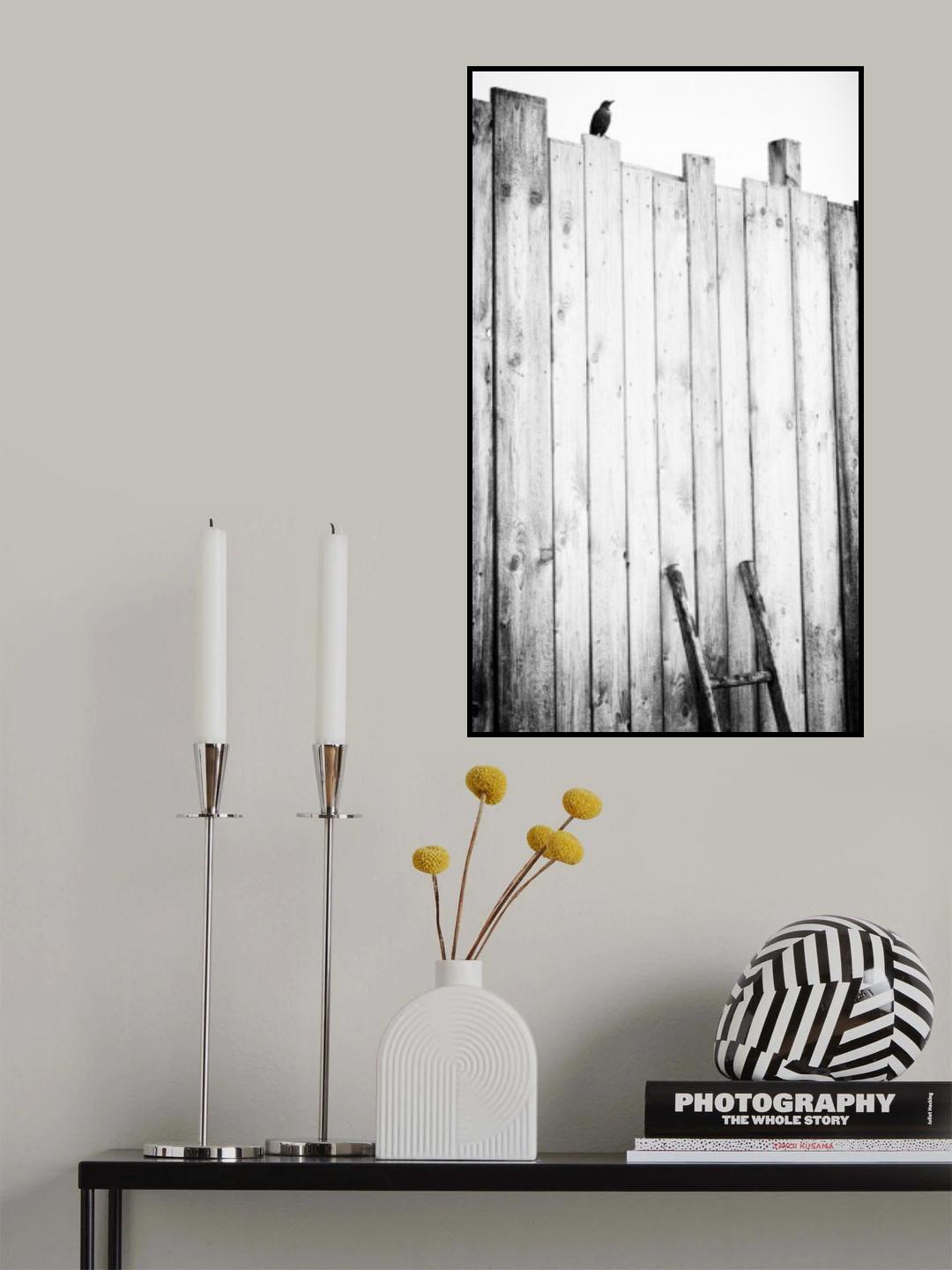 freed Poster och Canvastavla