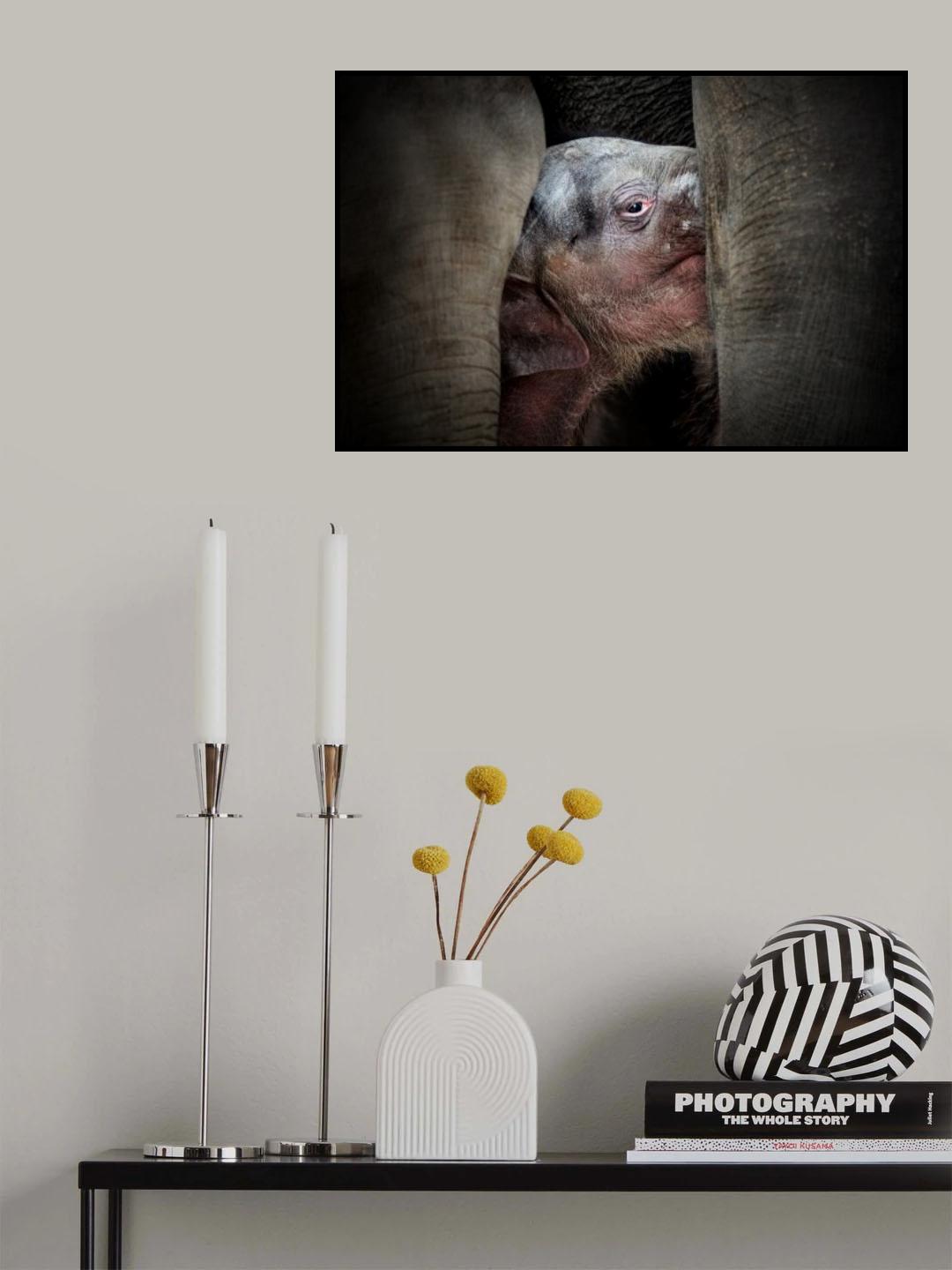 THE IMMEMORIAL KNOWLEDGE OF THE NEWBORNS Poster och Canvastavla