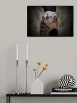 THE IMMEMORIAL KNOWLEDGE OF THE NEWBORNS Poster och Canvastavla
