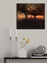 Coral King Poster och Canvastavla