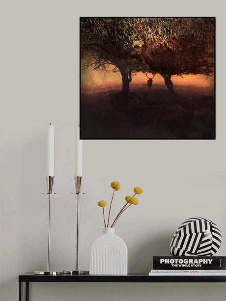 Coral King Poster och Canvastavla