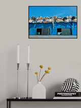 Goats on a Bus, Mali Poster och Canvastavla