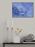 As light as air... Poster och Canvastavla