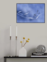 As light as air... Poster och Canvastavla