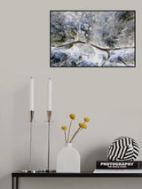 Path in forest Poster och Canvastavla