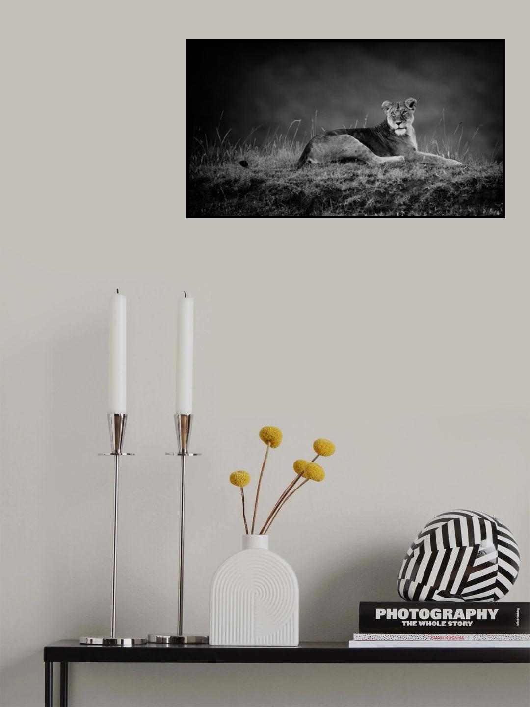 First Lady Poster och Canvastavla
